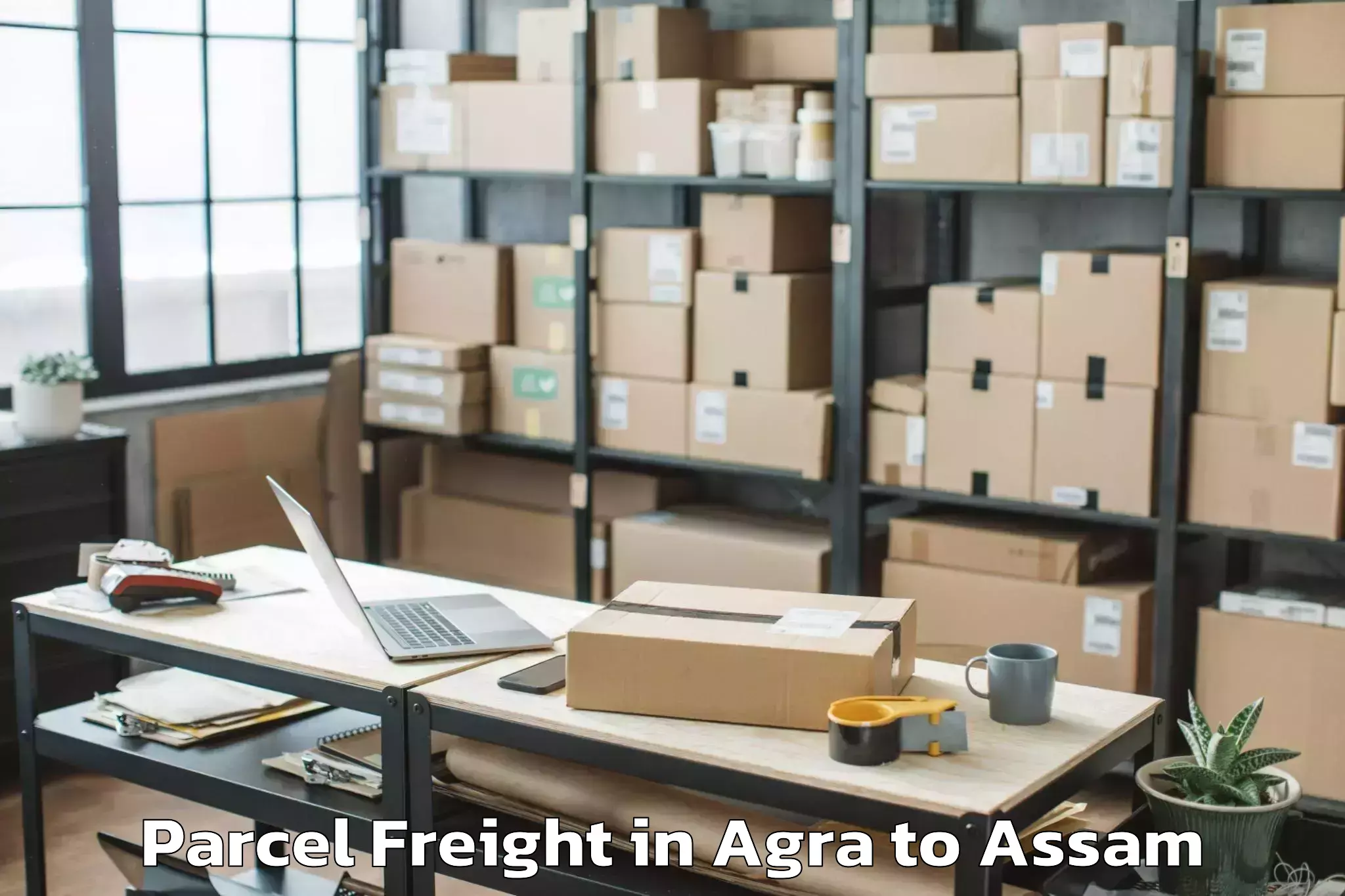 Hassle-Free Agra to Hajo Parcel Freight